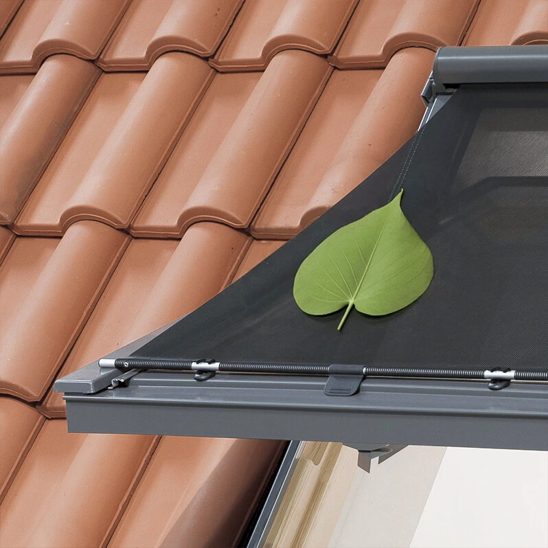 Proline brine o prirodi